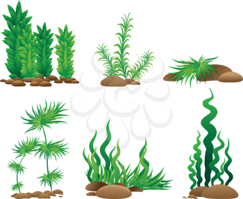 Set of grass - vector collection
