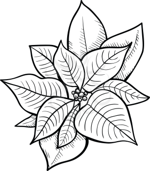 Leaves and berries - design element in pencil drawing outline style