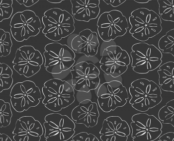 Sand dollar white.Hand drawn with ink seamless background.Modern hipster style design.