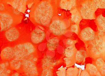 Abstract paint orange spots textured.Colorful background hand drawn with bright inks and watercolor paints. Color splashes and splatters create uneven artistic modern design.