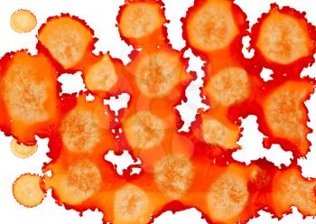 Paint spots orange textured on white.Colorful background hand drawn with bright inks and watercolor paints. Color splashes and splatters create uneven artistic modern design.