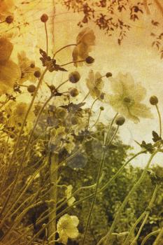 A vintage picture of flowers