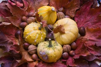 Home decoration with leaves and colocynths