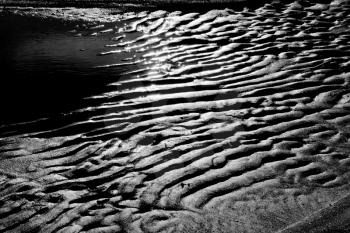 A beach in the morning light