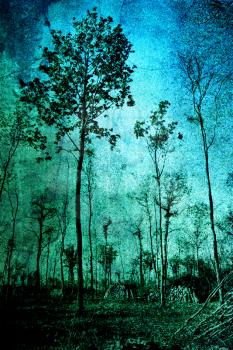 Image of trees in blue tones