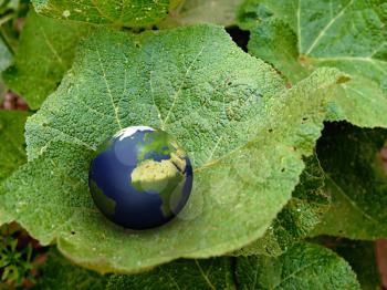 3d eath on a leaf - earth protection concept