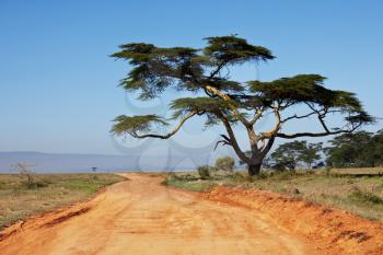 Royalty Free Photo of a Road in Kenya