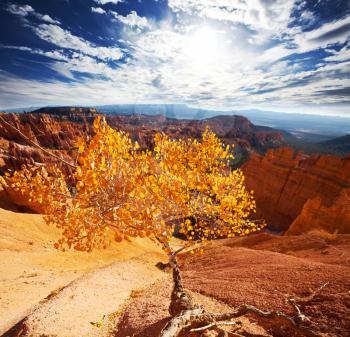 Royalty Free Photo of Bryce Canyon in Fall