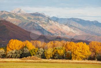 Royalty Free Photo of Autumn in the Mountains