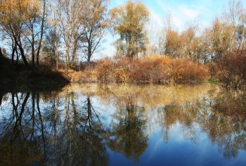 Royalty Free Photo of a Rural Lake Landscape