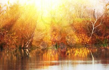 Royalty Free Photo of a Rural Lake Landscape