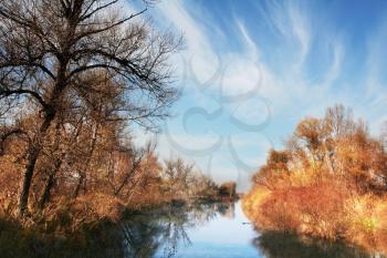 Royalty Free Photo of a Rural Landscape on a Lake