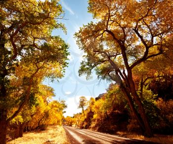 Royalty Free Photo of a Road in Autumn in Sierra Nevada