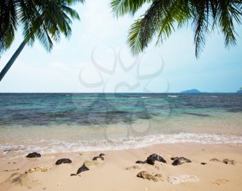 Royalty Free Photo of a Beach