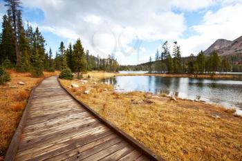 Royalty Free Photo of a  Boardwalk Through a Forest