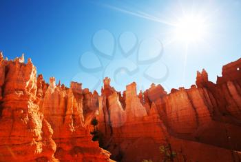 Royalty Free Photo of Bryce Canyon