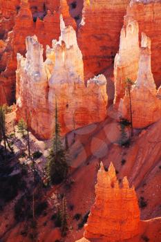 Royalty Free Photo of Bryce Canyon