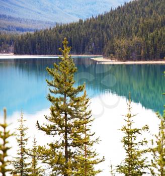 Royalty Free Photo of a Lake in Alberta Canada
