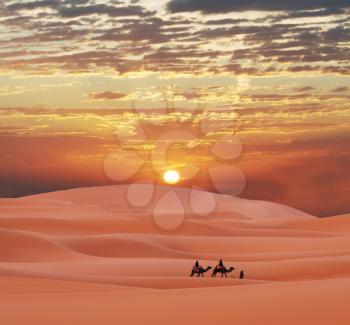 Royalty Free Photo of a Caravan in the Sahara Desert