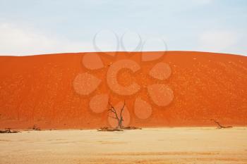 Royalty Free Photo of Dead Valley in Namibia