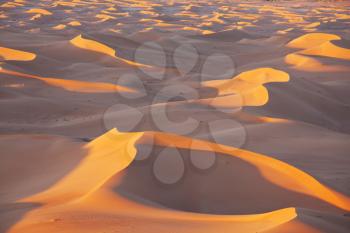 Royalty Free Photo of the Sahara Desert