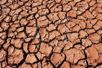 Royalty Free Photo of Drought