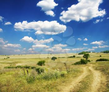 Royalty Free Photo of a Field and Road
