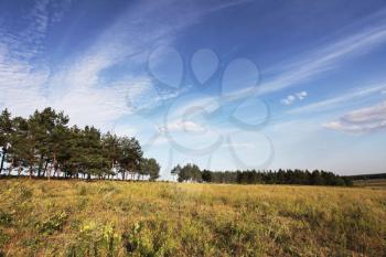 Royalty Free Photo of a Field and Trees