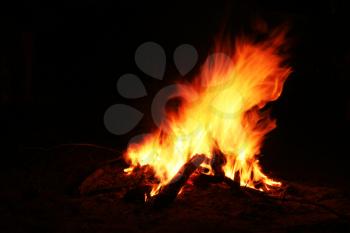 Royalty Free Photo of a Campfire