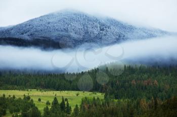 Royalty Free Photo of Fog Over a Forest and Field