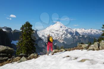 Royalty Free Photo of a Man Hiking at Mount Baker in Washington