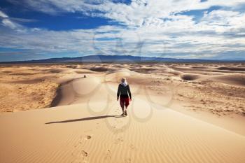 Royalty Free Photo of a Person Walking in the Gobi Desert