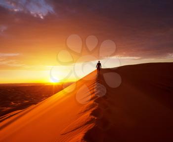 Royalty Free Photo of a Hike in the Sahara, Morocco