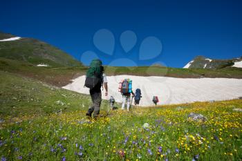 Royalty Free Photo of Hikers