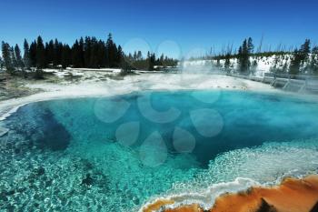 Royalty Free Photo of Hot Springs in Yellowstone National Park