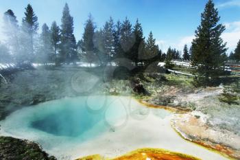 Royalty Free Photo of Mammoth Hot Spring in Yellowstone Park