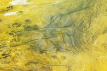 Royalty Free Photo of Mammoth Hot Spring Texture
