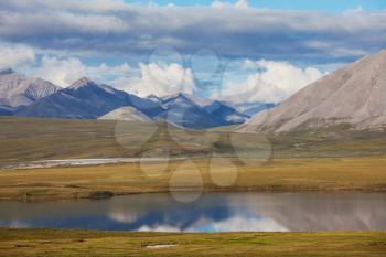 Royalty Free Photo of a River and Tundra in Alaska