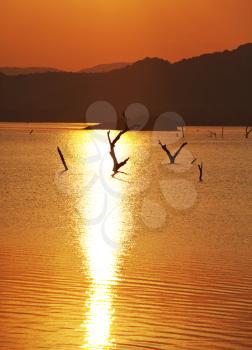 Royalty Free Photo of a Sunset on a Lake