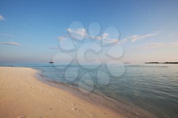 Royalty Free Photo of a Beach in the Maldives