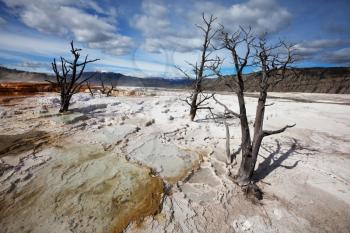 Royalty Free Photo of Mammoth Hot Spring in Yellowstone Park, USA