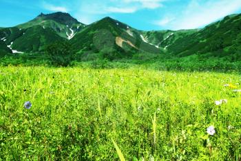 Royalty Free Photo of a Mountain Meadow