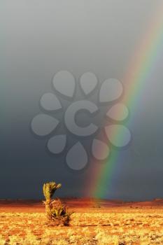 Royalty Free Photo of a Rainbow in the Desert