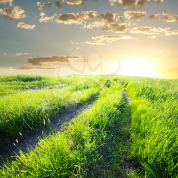 Royalty Free Photo of a Road in a Field