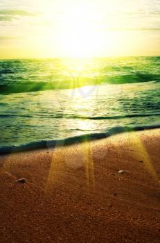 Royalty Free Photo of a Beach