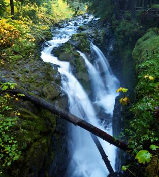 waterfall in Olympic National Park,USA