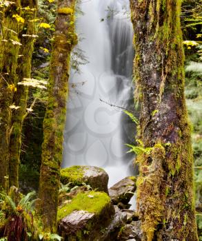 waterfall in Olympic National Park,USA