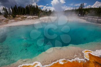  West Thumb Geyser Basin in Yellowstone National Park