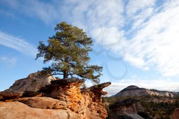 Royalty Free Photo of Zion national park