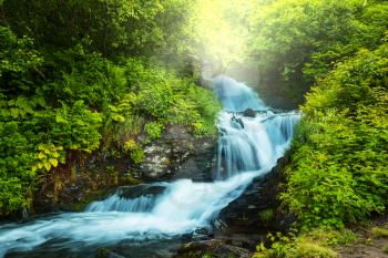 creek in forest